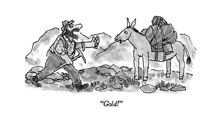 Native Drawing - Gold! by William Steig