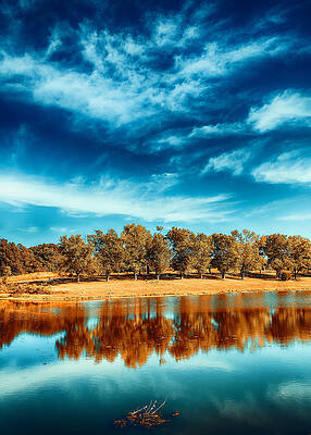 Vivid Lakeside Reflection Wall Art