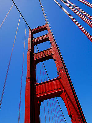 Wall Art featuring the photograph Golden Gate Tower by Rona Black