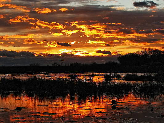 Wis Photograph - Golden Sunset Over The Pond by Dale Kauzlaric