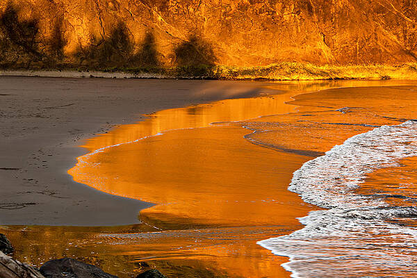 Washington Photograph - Golden Wave by Mary Jo Allen