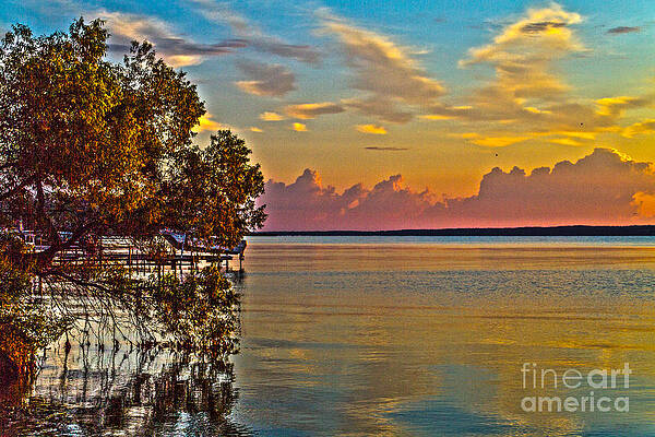 Summer Photograph - Good Morning Seneca by William Norton