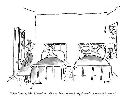 Pig Drawing - ?good News, Mr. Herndon.  We Worked by George Booth