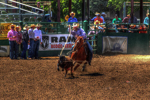 Horse Wall Art featuring the photograph Gotcha by Carla E