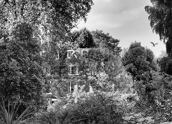 Wall Art featuring the photograph Gothic Hampstead by Rona Black