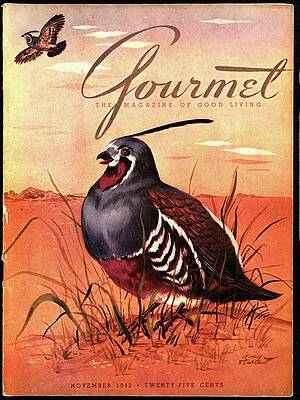 Desert Photograph - Gourmet Cover Featuring A Quail by Henry Stahlhut