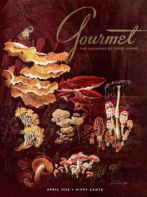 Variety of Colorful Mushrooms Wall Art