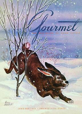 Landscape Photograph - Gourmet Cover Of A Rabbit On Snow by Henry Stahlhut