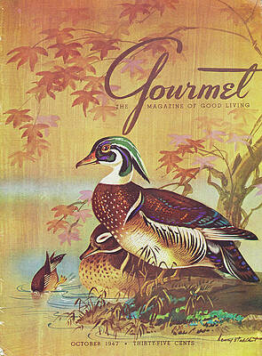 Wood Ducks by the Water's Edge Wall Art