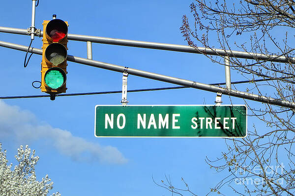 Wall Art featuring the photograph GPS Challenged by Olivier Le Queinec