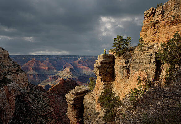 Wall Art featuring the photograph Grand Canyon National Park, Bright by Ed Freeman