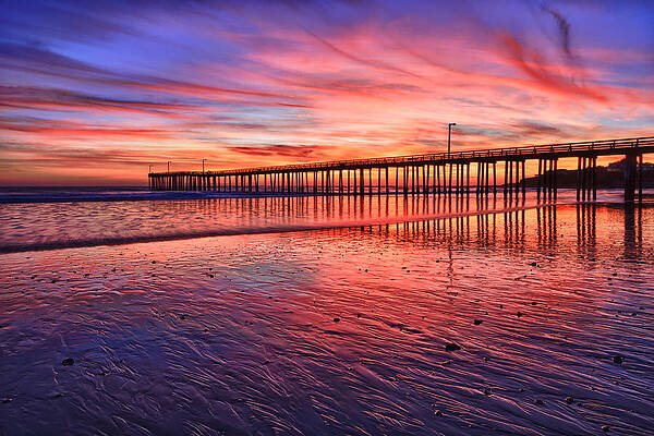 Sea Photograph - Grand Finale by Beth Sargent