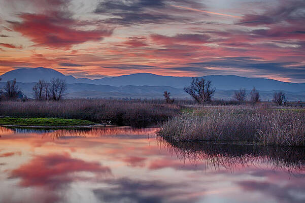 Wall Art featuring the photograph Grand Sunset by Lisa Chorny