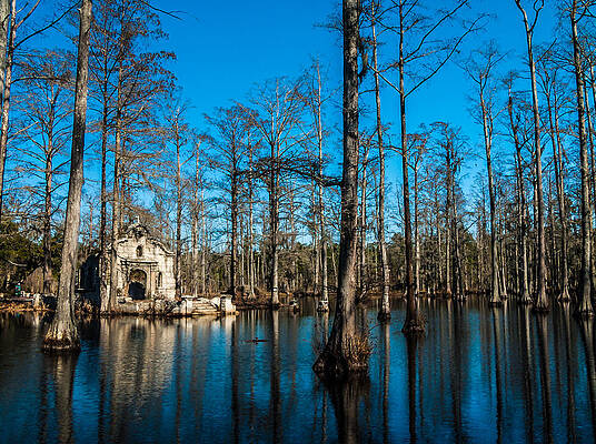 South Carolina Photograph - Cypress Swamp Groomville, South Carolina by Louis Dallara