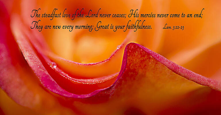 Summer Photograph - Great Is Your Faithfulness by Mary Jo Allen