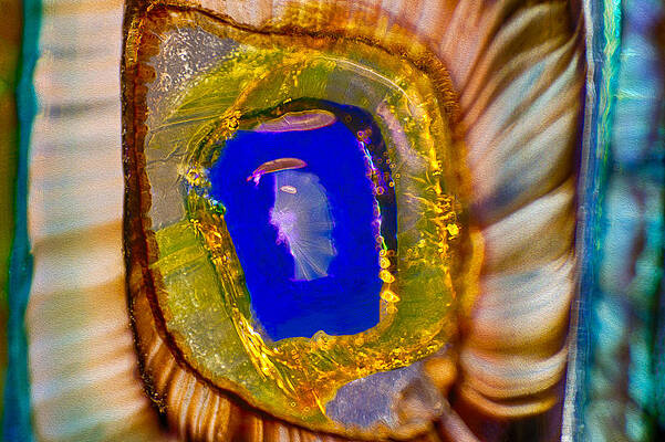 Wall Art featuring the photograph Hail To The Queen by Omaste Witkowski