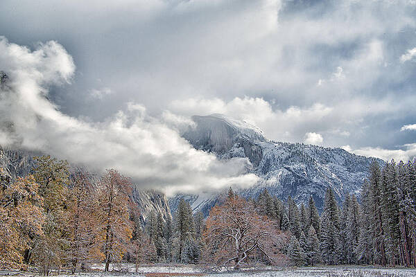 Fall Photograph - Half Dome In Autumn At Yosemite by Natural Focal Point Photography