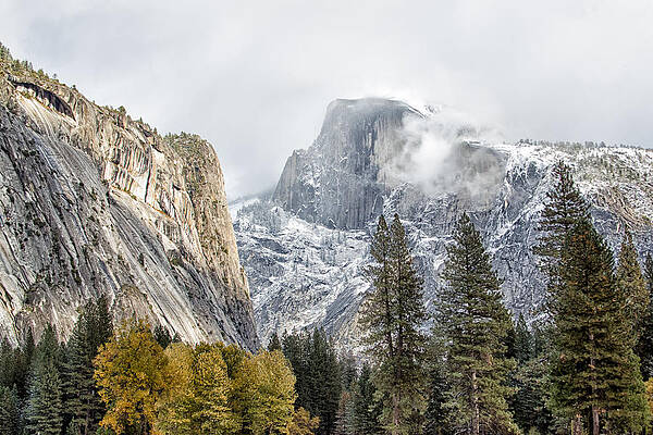 Winter Photograph - Half Dome In The Snow by Natural Focal Point Photography