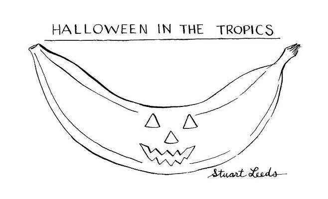Halloween Wall Art featuring the drawing Halloween In The Tropics by Stuart Leeds