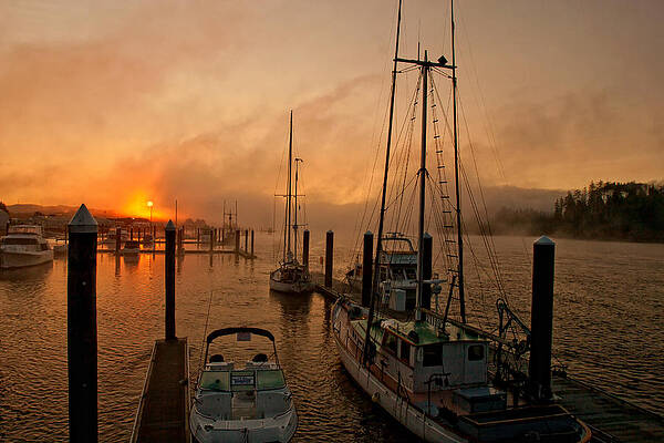 Wall Art featuring the photograph Harbor by Lisa Chorny