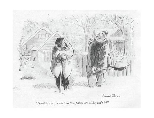 Natural Drawing - Hard To Realize That No Two ?akes Are Alike by Garrett Price