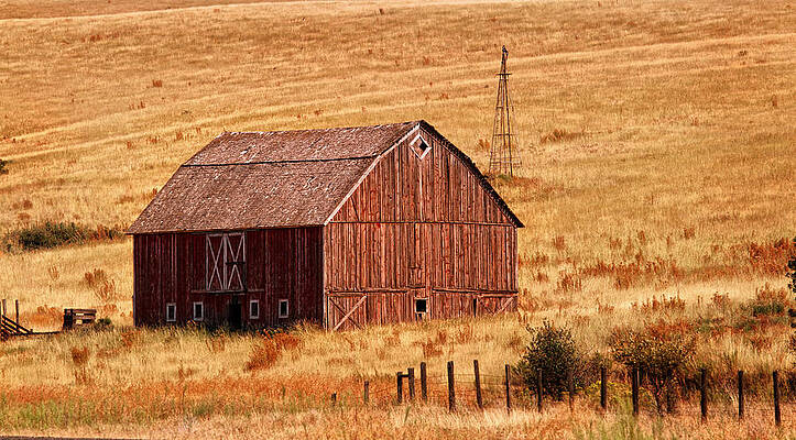 Rustic Barn in Golden Field Photograph