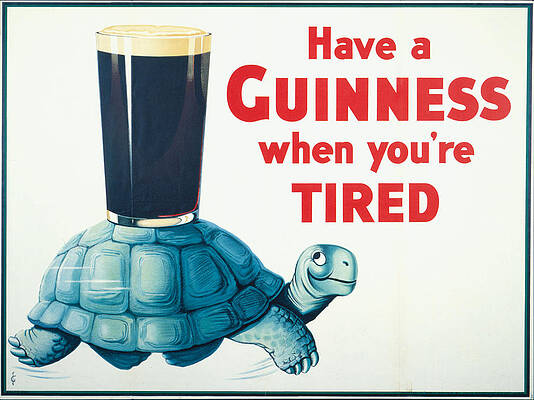 Guinness on a Turtle Digital Art