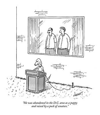 Politics Wall Art featuring the drawing He Was Abandoned In The D.c. Area As A Puppy by Tom Cheney