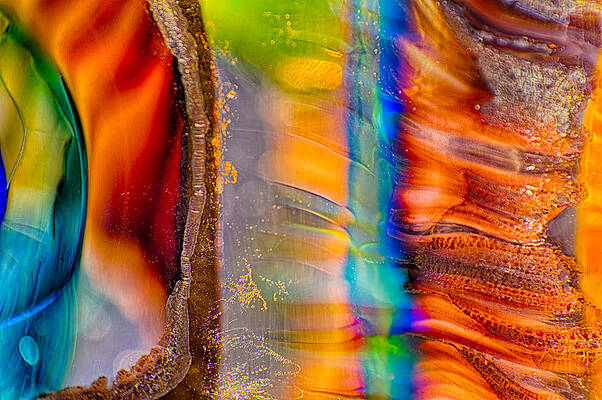 Wall Art featuring the photograph Head Honchos by Omaste Witkowski