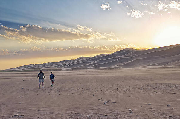 Wall Art featuring the photograph Headed Towards The Sun by Mary Lee Dereske