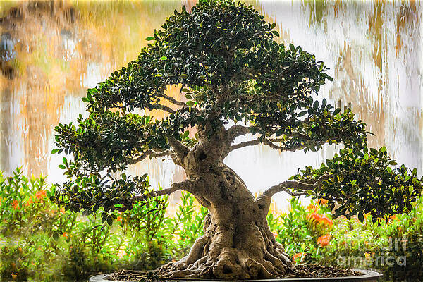 Wall Art featuring the photograph Heaven And Earth by Mary Lou Chmura