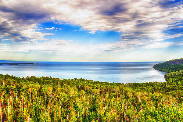 Vibrant Forest and Lake View Wall Art