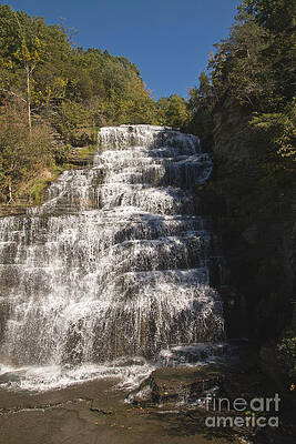 Finger Lake Photograph - Hector Falls by William Norton