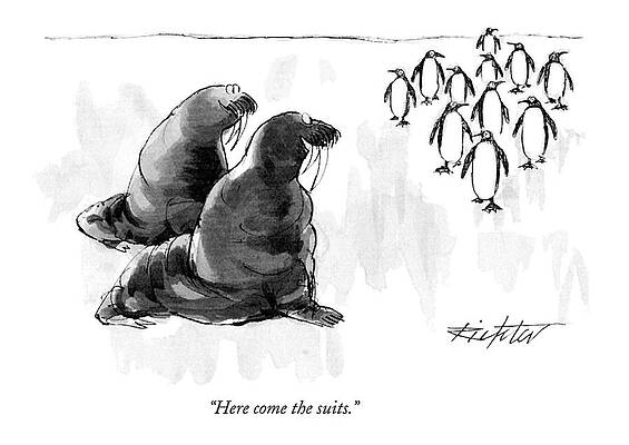 Walruses and Penguins Meeting Drawing