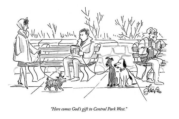 Envious Wall Art featuring the drawing Here Comes God's Gift To Central Park West by Edward Frascino