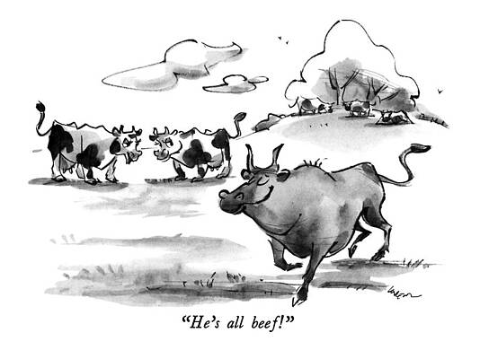 Cow Wall Art featuring the drawing He's All Beef! by Lee Lorenz