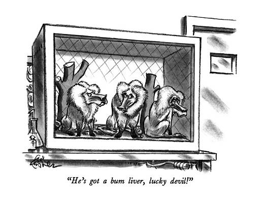 Laboratory Drawing - He's Got A Bum Liver by Ed Fisher