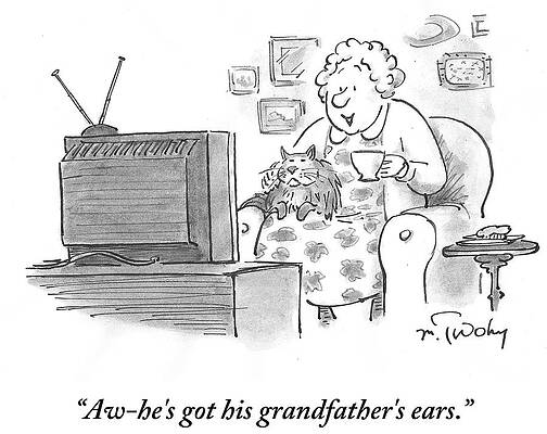 Cambridge Wall Art featuring the drawing He's Got His Grandfather's Ears by Mike Twohy