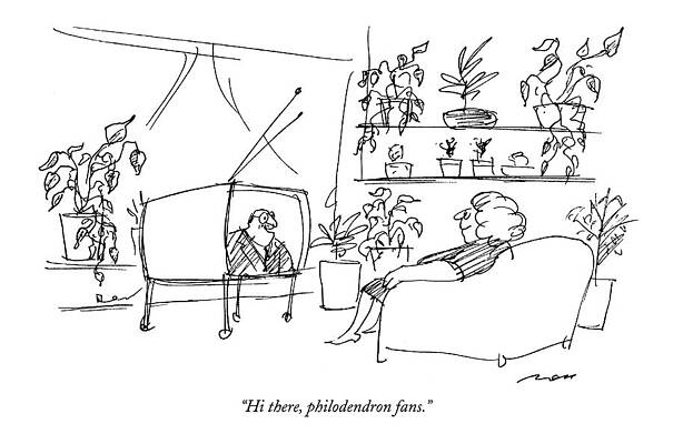 Gardening Drawing - Hi There, Philodendron Fans by Al Ross