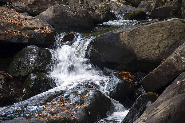 North Carolina Wall Art featuring the photograph Hidden Fall On The Horse Pasture River 1 by Flees Photos