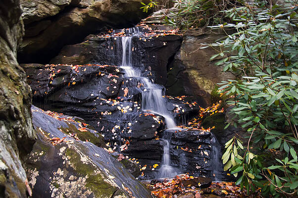 North Carolina Wall Art featuring the photograph Hidden Falls 2 by Flees Photos