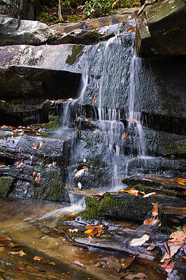 North Carolina Wall Art featuring the photograph Hidden Falls 6 by Flees Photos