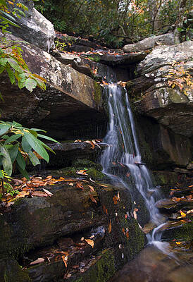 North Carolina Wall Art featuring the photograph Hidden Falls At Hanging Rock by Flees Photos