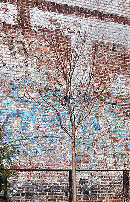 Wall Art featuring the photograph High Line Palimpsest by Rona Black