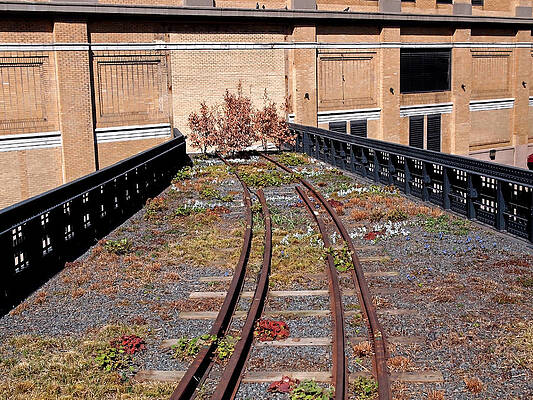 Wall Art featuring the photograph High Line Spur by Rona Black