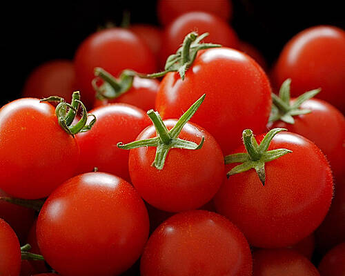 Wall Art featuring the photograph Homegrown Tomatoes by Rona Black