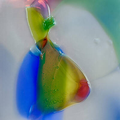 Photograph - Homer by Omaste Witkowski