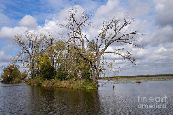 Fall Photograph - Horicon Marsh In Autumn by Natural Focal Point Photography