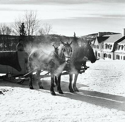 Mountain Photograph - Horse-drawn Sleigh by Toni Frissell