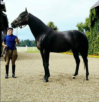 Rural Scene Photograph - Horse Trainer And Thoroughbred In Normandy by Henry Clarke